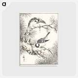 アートポストカード-Japanese Willow Tit and Pine Tree
 - 鳥類図鑑 Postcard.