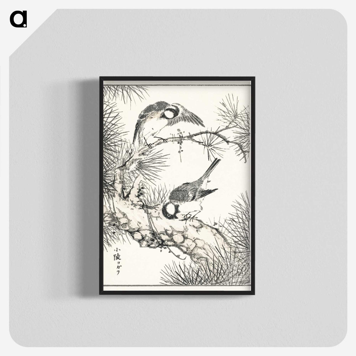 1-71_Pictorial-Monograph-of-Birds_blk-crop
