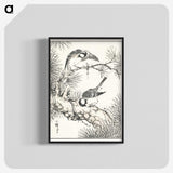 1-71_Pictorial-Monograph-of-Birds_blk-crop