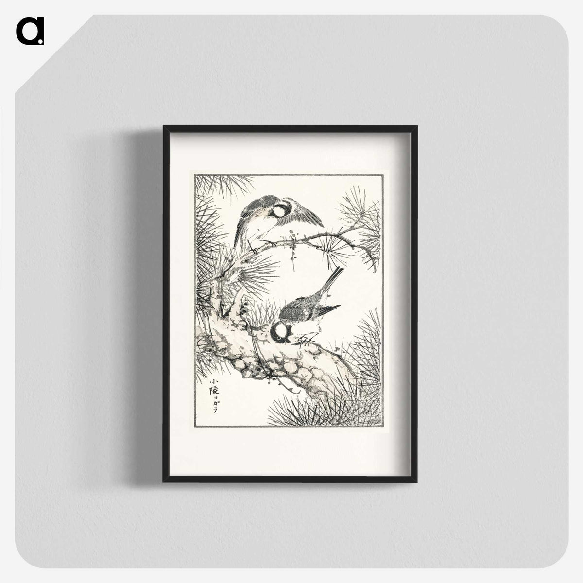 1-71_Pictorial-Monograph-of-Birds_blk