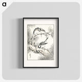 1-71_Pictorial-Monograph-of-Birds_blk