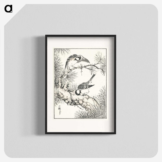 1-71_Pictorial-Monograph-of-Birds_blk