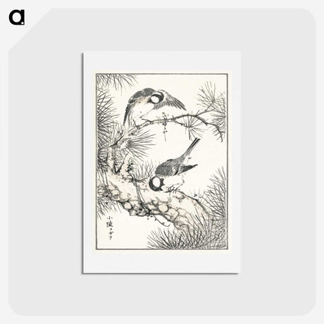 1-71_Pictorial-Monograph-of-Birds_hagaki