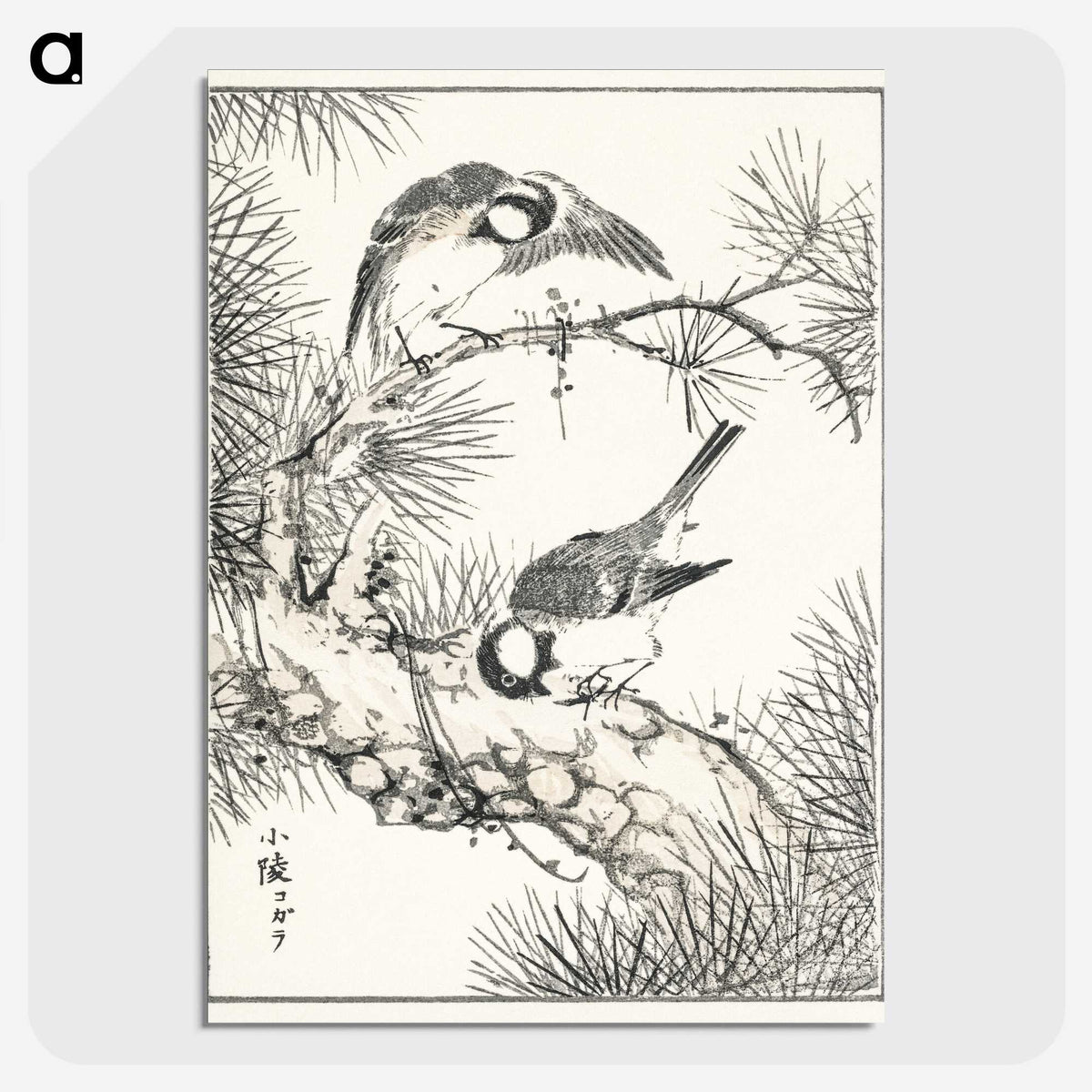1-71_Pictorial-Monograph-of-Birds_picture-crop