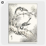1-71_Pictorial-Monograph-of-Birds_picture-crop