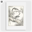 1-71_Pictorial-Monograph-of-Birds_picture