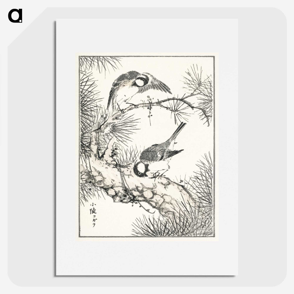 1-71_Pictorial-Monograph-of-Birds_picture
