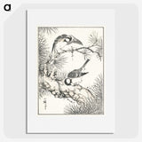 1-71_Pictorial-Monograph-of-Birds_picture