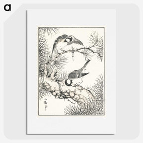 1-71_Pictorial-Monograph-of-Birds_picture