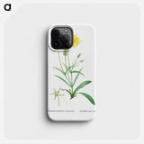 Mesembryanthemum Helianthoides (Spatula–leaved Fig Marigold) - Pierre Joseph Redouté Phone Case.