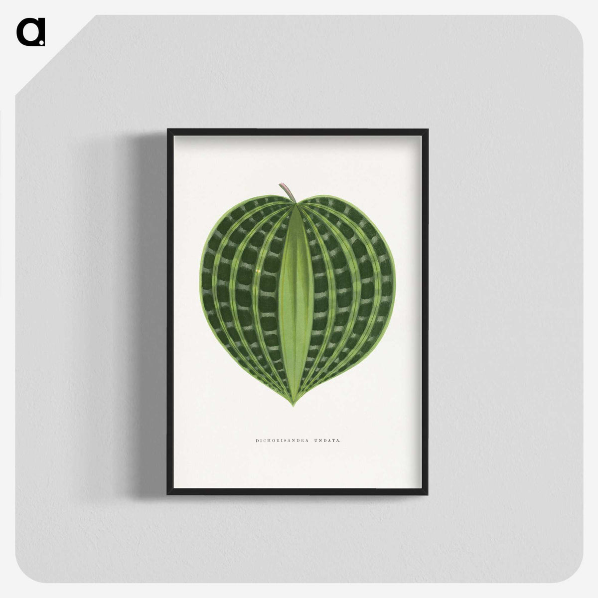 1-71_Plants-with-Colored-Foliage_blk-crop