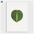 1-71_Plants-with-Colored-Foliage_picture