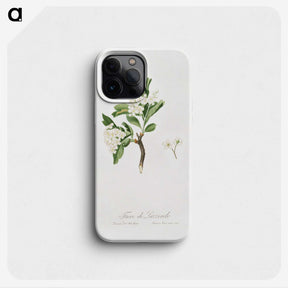 1-71_Pomona-Italiana_phone