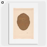 1-71_Reijer-Stolk_picture