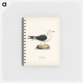 アートメモ帳-Lesser Black-Backed Gull
 - スヴェンスカ フォグラル Memo.