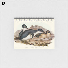 アートメモ帳-Little Penguin
 - オーストラリアの鳥 Memo.
