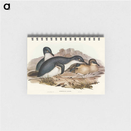 アートメモ帳-Little Penguin
 - オーストラリアの鳥 Memo.