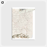 アートポストカード-Letter Decal
 - 書道のお手本 Postcard.
