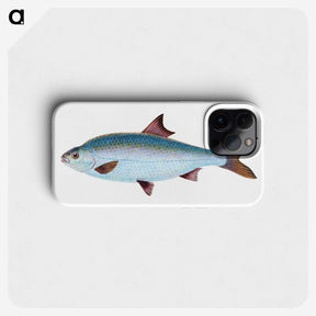 1-71_The-Natural-History-of-British-Fishes_phone