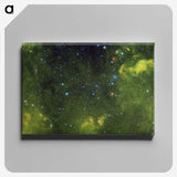 1-71_The-Viviparous-Quadrupeds_canvas