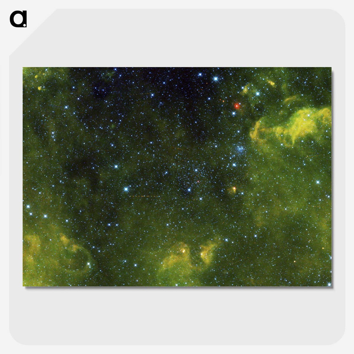 1-71_The-Viviparous-Quadrupeds_picture-crop