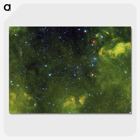 1-71_The-Viviparous-Quadrupeds_picture-crop