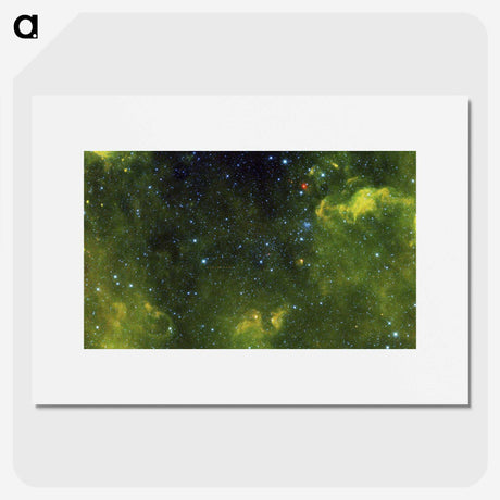 1-71_The-Viviparous-Quadrupeds_picture