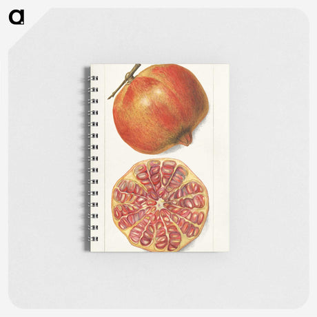 1-71_USDA-Watercolor-Fruit-Painting-Collection_memo