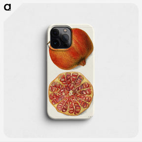 1-71_USDA-Watercolor-Fruit-Painting-Collection_phone