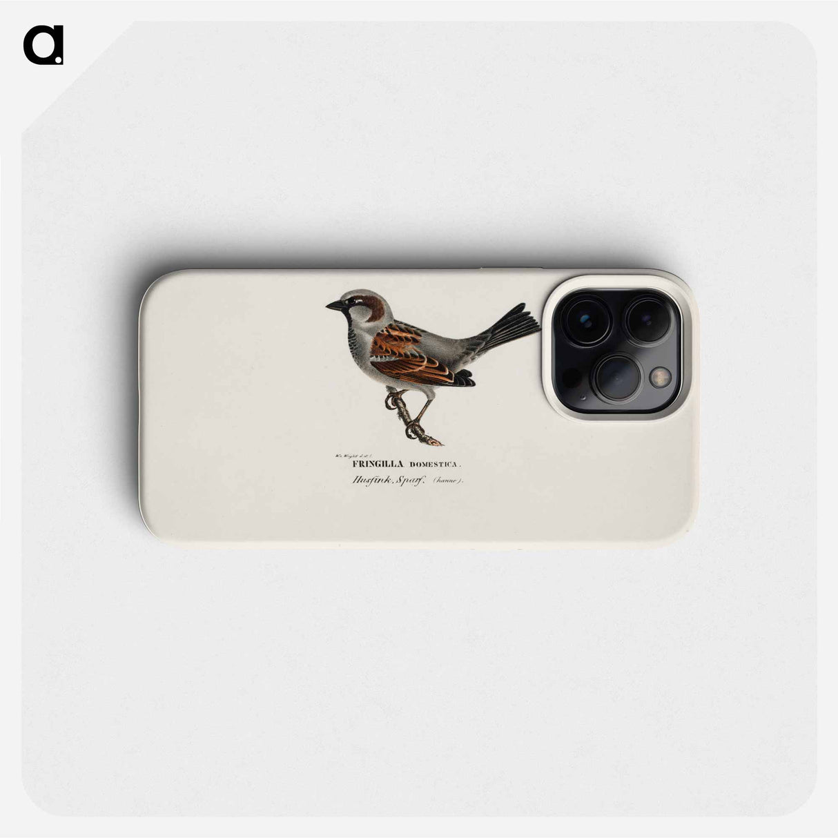 Sparrow, male - Wilhelm von Wright Phone Case.