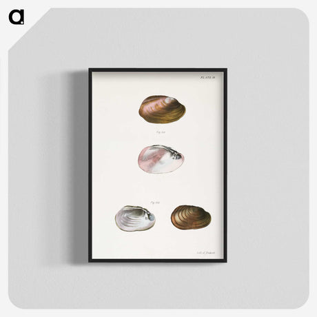 1-71_Zoology-of-New-York_blk-crop