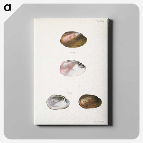 1-71_Zoology-of-New-York_canvas
