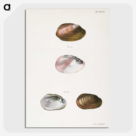 1-71_Zoology-of-New-York_picture-crop