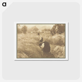 アートポストカード-Early Morn - アルフレッド スティーグリッツ Postcard.