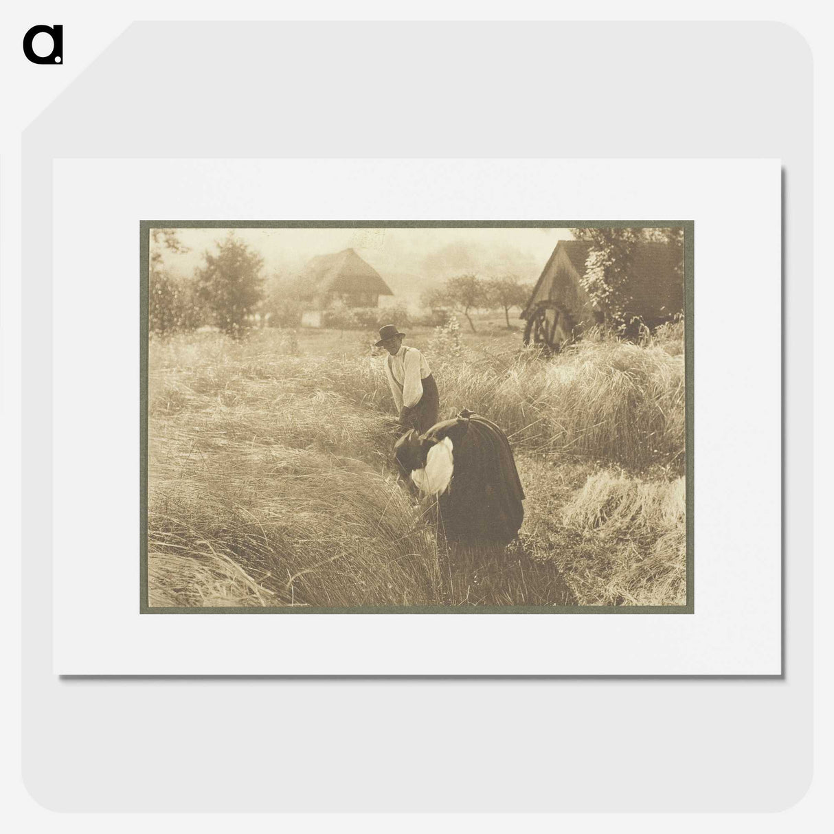 1-72_Alfred-Stieglitz_picture