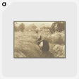 1-72_Alfred-Stieglitz_postcard