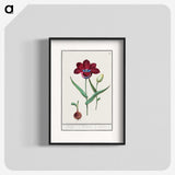 1-72_Anselmus-Boetius-de-Boodt_blk