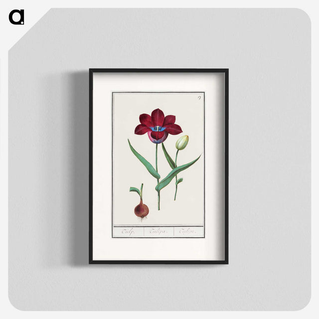 1-72_Anselmus-Boetius-de-Boodt_blk