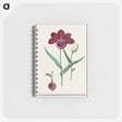 1-72_Anselmus-Boetius-de-Boodt_memo