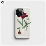 1-72_Anselmus-Boetius-de-Boodt_phone