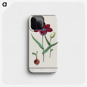 1-72_Anselmus-Boetius-de-Boodt_phone