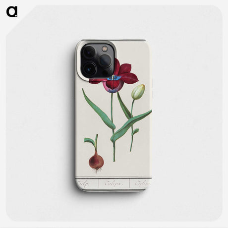 1-72_Anselmus-Boetius-de-Boodt_phone