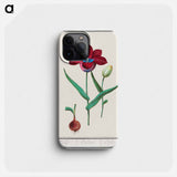 Tulip - アンセルムス ボエティウス デ ブート Phone Case.