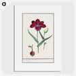 1-72_Anselmus-Boetius-de-Boodt_picture