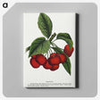 1-72_Botanical-Specimen-Plates_canvas