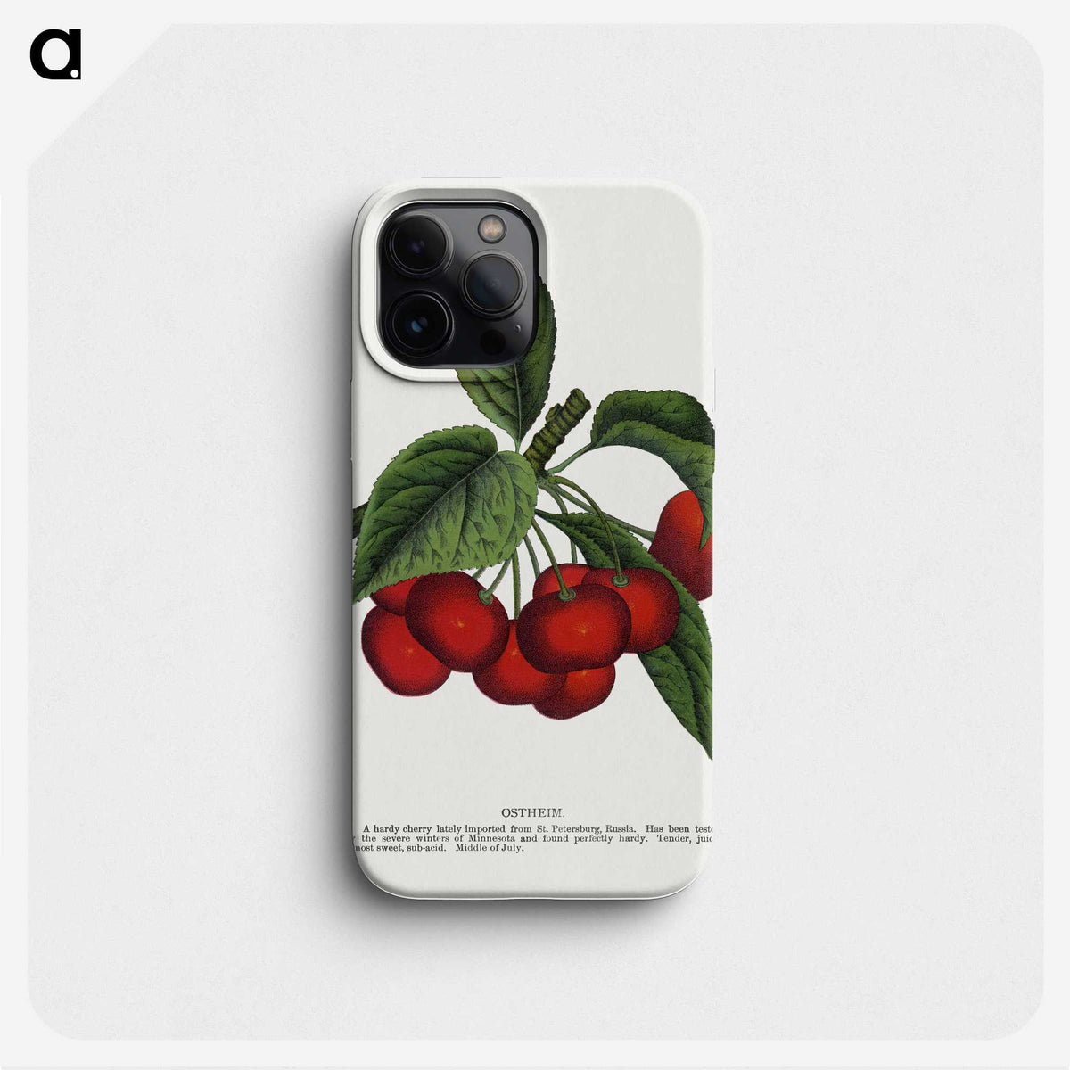 1-72_Botanical-Specimen-Plates_phone