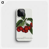 1-72_Botanical-Specimen-Plates_phone