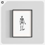 アートポスター-Skeleton of a Man
 - 大英図書館 Poster.