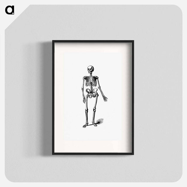 アートポスター-Skeleton of a Man
 - 大英図書館 Poster.