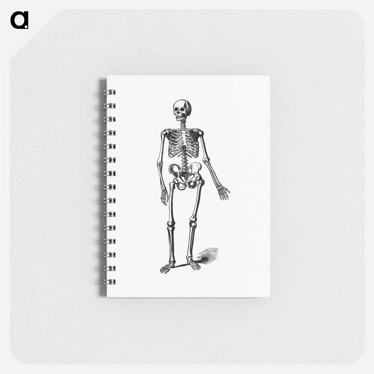 アートメモ帳-Skeleton of a Man
 - 大英図書館 Memo.